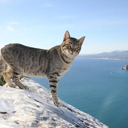 La Martina - Plusholidays * Ifach