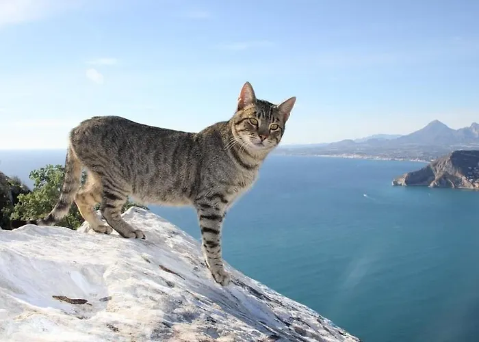 La Martina - Plusholidays * Ifach